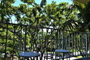 miamire/95c16745f3496af6025de2616219ecee.jpg?width=131&height=105&format3=webp
