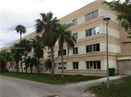 miamire/960c7d4503b06513ba07f2e67efe126d.jpg?width=131&height=105&format3=webp