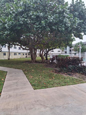 View of surrounding area with trees and buildings.