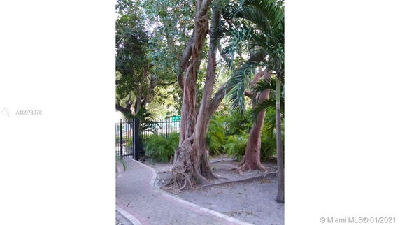 Pathway surrounded by trees and plants leading to a gate.