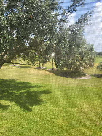 View of a grassy area with trees visible through a window screen.