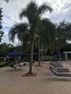 miamire/970d606dcfd5d56a264ff61ebc218f36.jpg?width=131&height=105&format3=webp