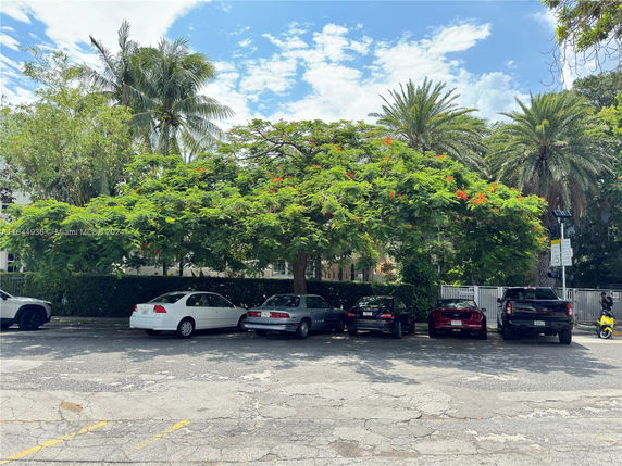 Outdoor parking area with several cars parked under a large tree.