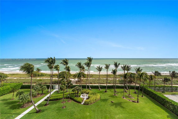 Panoramic view of a beach with palm trees and ocean waves.