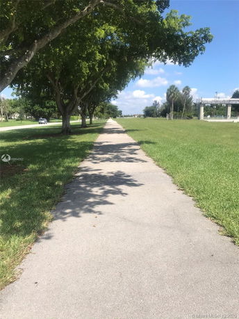 Paved pathway lined with trees on a clear day.