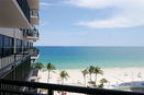 miamire/98f5f3ec7b5e8a2e2dfc60e91a0b3e21.jpg?width=131&height=105&format3=webp