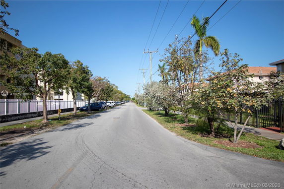 Street view with trees, parked cars, and buildings lining the road.
