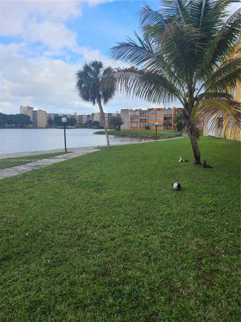 Lakeside view with grass, palm trees, and buildings in the background.