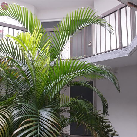 Front view of a building with balcony and green plants.