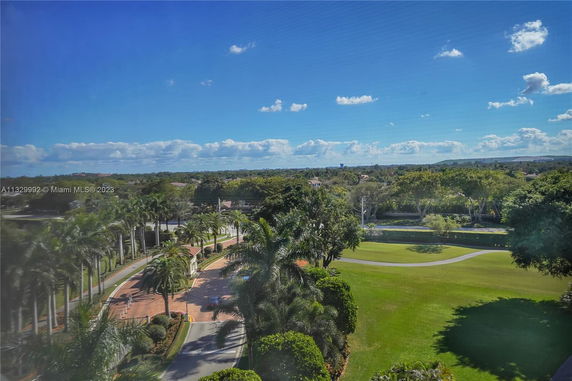 Aerial view of a landscaped area with palm trees and open green spaces.