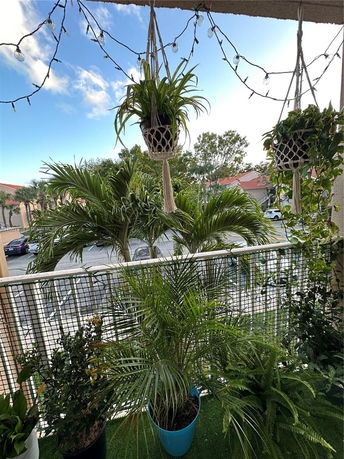 View of plants on a balcony with a street and buildings in the background.
