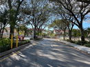 miamire/9c25c291b9b1319d18b3140ffef3c4e9.jpg?width=131&height=105&format3=webp