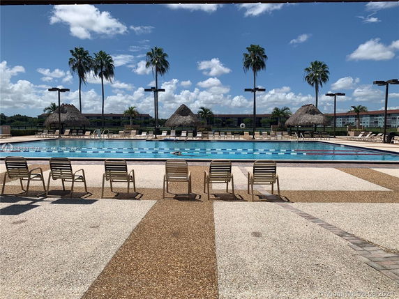 Outdoor swimming pool area with sun loungers and palm trees in the background.