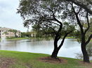 miamire/9d850d0a82afa8a7e510a1c807af3be3.jpg?width=131&height=105&format3=webp