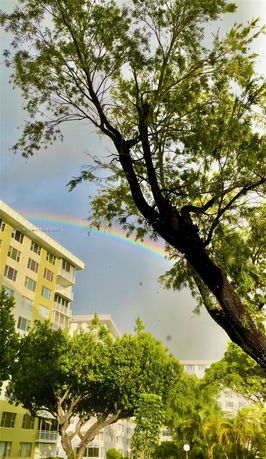 View of buildings with a rainbow and trees in the foreground.