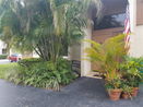 miamire/9df485266d42385842a5cf25505a396b.jpg?width=131&height=105&format3=webp