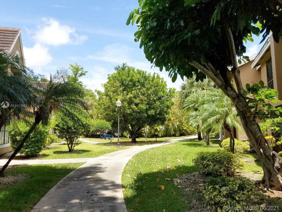 Pathway with lush greenery and trees adjacent to buildings.