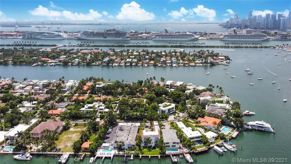 Panoramic view of a coastal area with houses and waterfront properties, boats, and large cruise ships in the distance.
