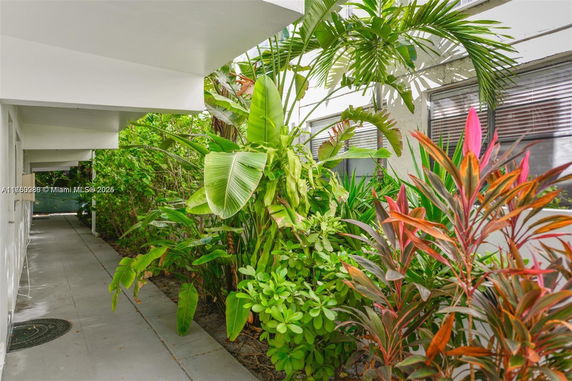 Pathway beside a building lined with tropical plants and trees.