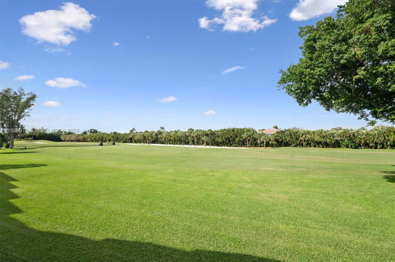 View of a lush green field with trees in the distance under a clear blue sky.