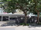 miamire/9fe17f650a4f0f05c26c83861db9c8e4.jpg?width=131&height=105&format3=webp