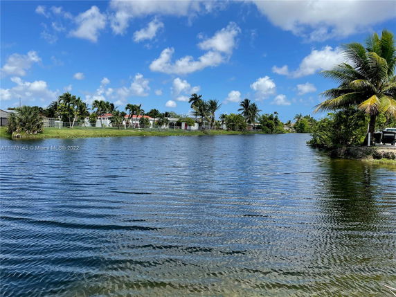 Scenic view of a waterfront area with palm trees and houses in the background.
