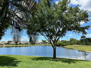 miamire/a15f32152faa8112987bab161d41a7e4.jpg?width=131&height=105&format3=webp