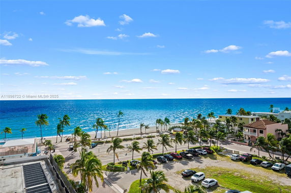 Panoramic view of a coastline with ocean and palm trees.