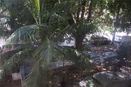 miamire/a1a799f16d644761e097f9682fef8bf6.jpg?width=131&height=105&format3=webp