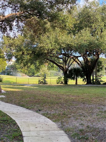 View of a grassy area with trees and a sprinkler system.