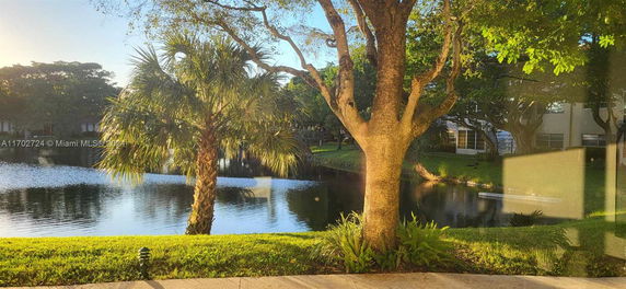 View of a tree and a pond outside a building.