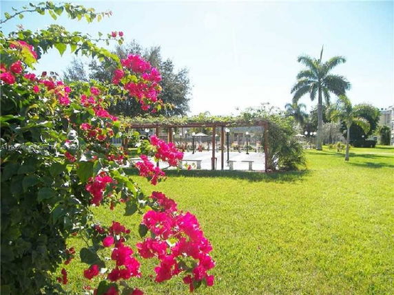Outdoor area with flowers, palm trees, and a pergola structure.