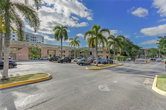 Outdoor parking area with several vehicles and palm trees.