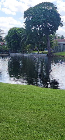 View of a grassy area near a body of water with trees in the background.