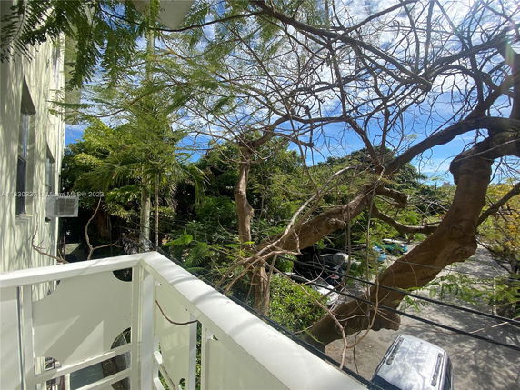 View of trees and a road seen from a building.
