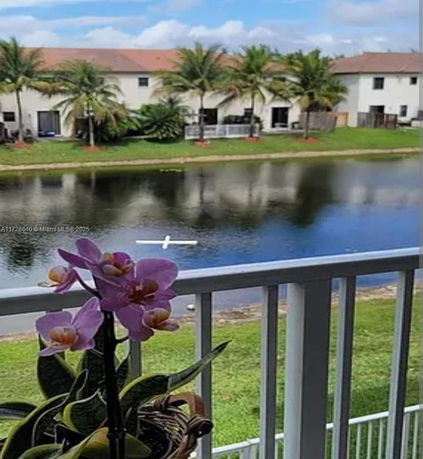 View from a balcony overlooking a pond with nearby residential buildings and palm trees.