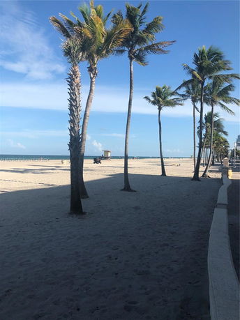 Beach view with palm trees and a clear blue sky.