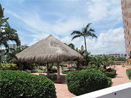 miamire/a5a3682be2d1a21c77db96790395ecfd.jpg?width=131&height=105&format3=webp