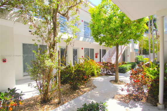 Outdoor view with trees and pathways in a residential courtyard.