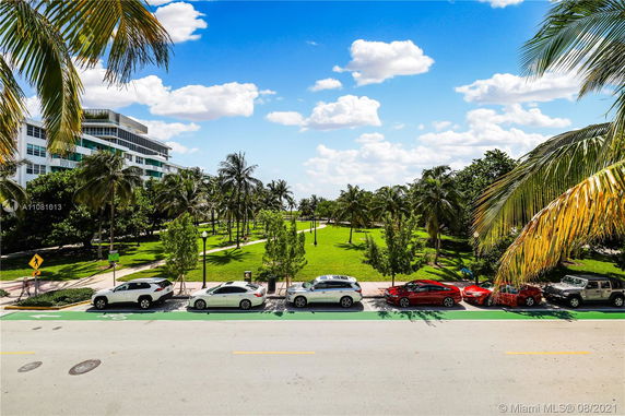 View of a landscaped park area with palm trees and adjacent street with parked cars.
