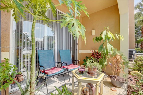 Outdoor view of a patio with chairs and plants.