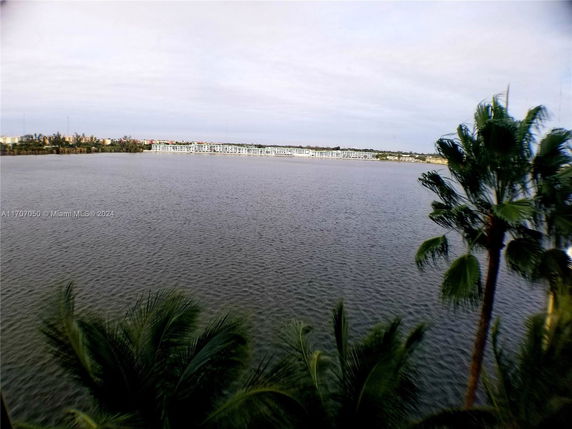 View of a body of water with buildings and palm trees in the distance.