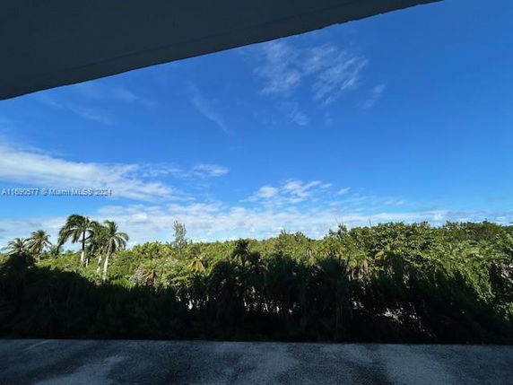 View of greenery and trees under a clear blue sky.