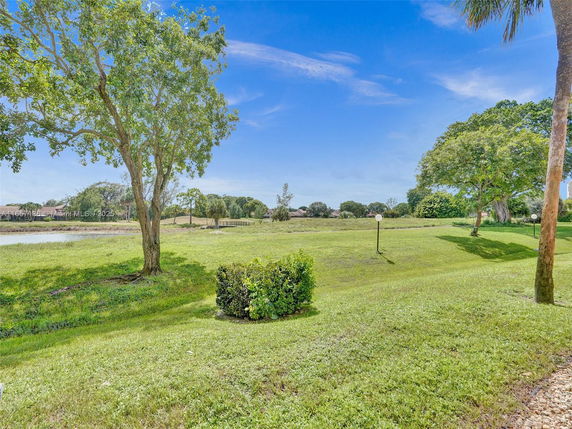 View of a grassy area with trees and a small pond under a clear blue sky.