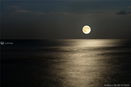 miamire/aa383197b03542b8774e65c532982b18.jpg?width=131&height=105&format3=webp