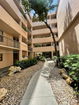 miamire/aaf31e18c07fd627b20791da5cc96764.jpg?width=131&height=105&format3=webp