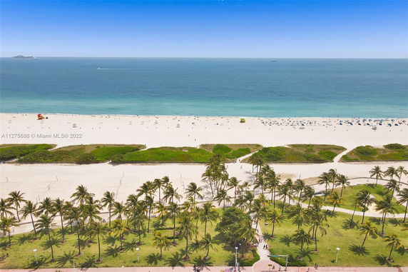 Panoramic view of a beach with palm trees, sand, and ocean.