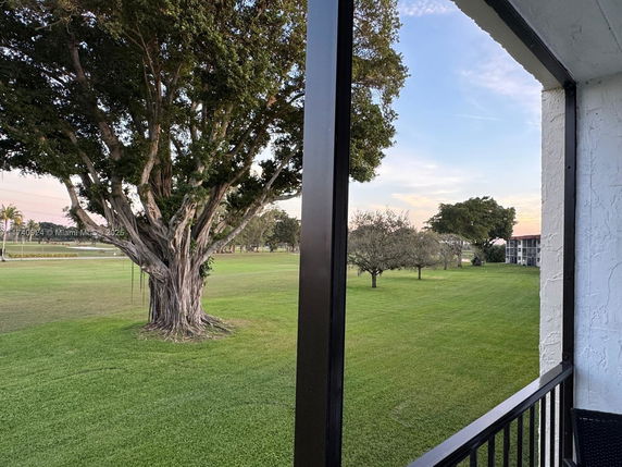 View from a building showing a large tree and grassy area with other buildings in the distance.
