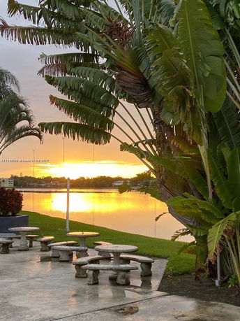 Scenic view of a lakeside area with palm trees and stone tables at sunset.