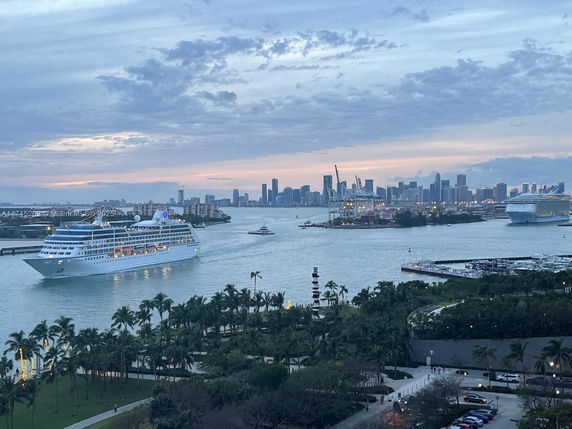 Aerial view of a city skyline with cruise ships on the water and palm trees in the foreground.